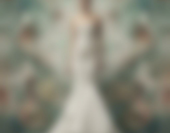 Sleek and Stunning: The Corset Mermaid Wedding Dress